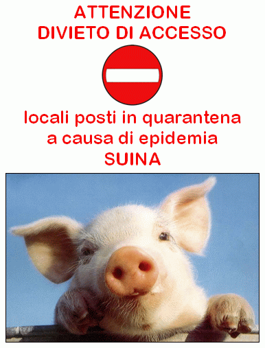Epidemia Suina